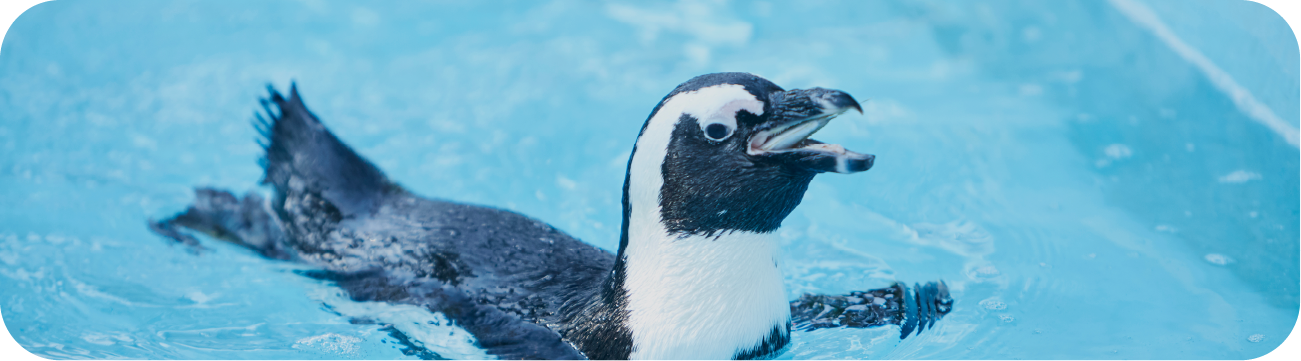 水族館・動物園